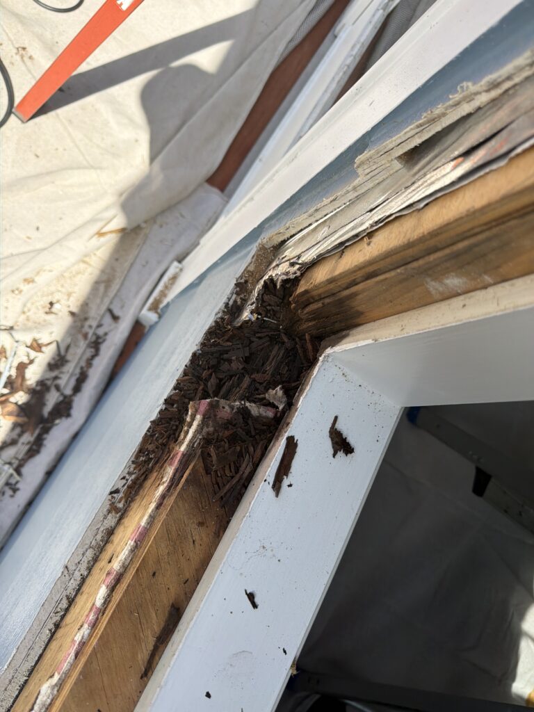 Older Lowcountry window showing moisture or wood deterioration